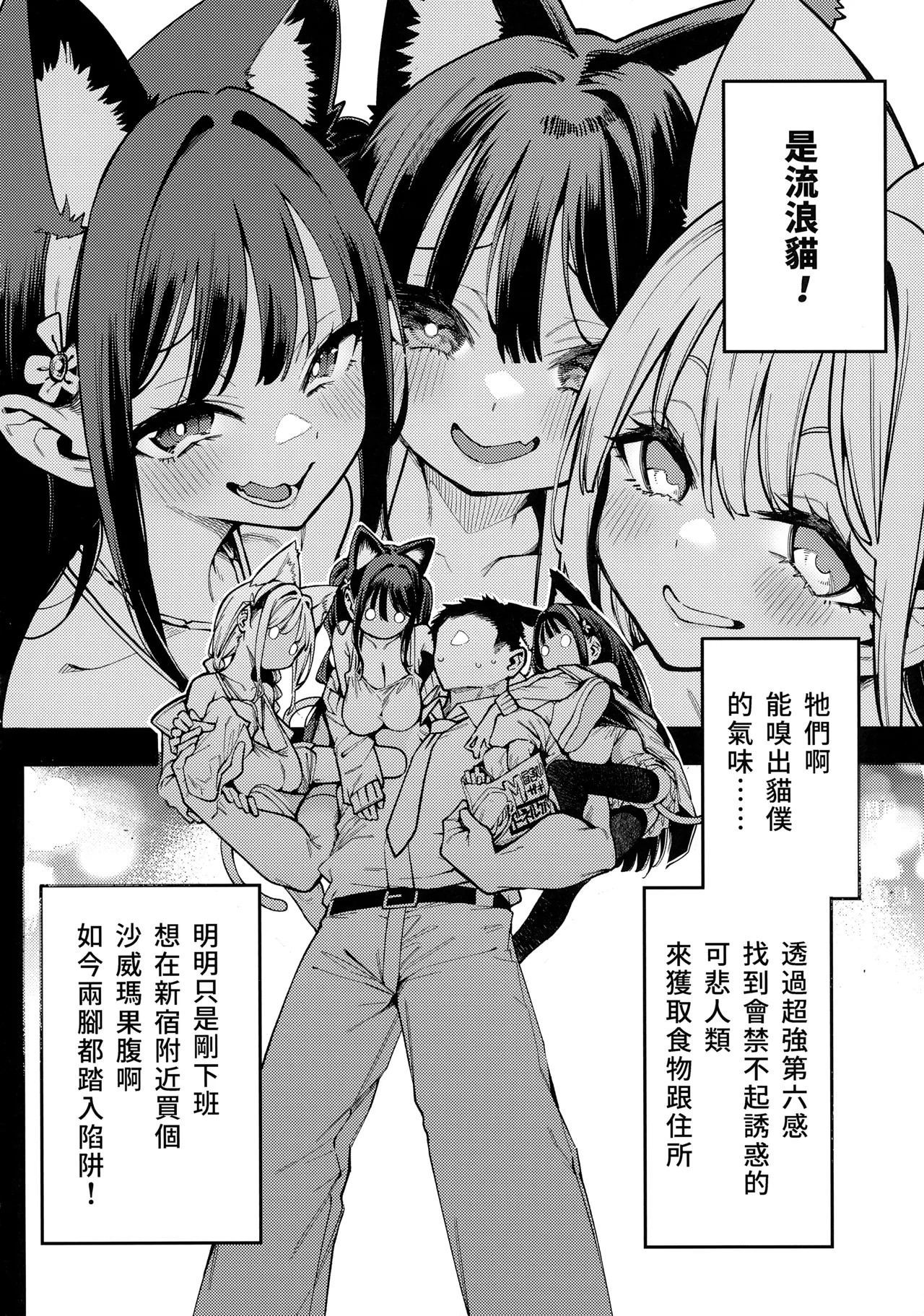 Kyou kara Mesu Neko o Kau Koto ni Narimashita Ken | 今天開始在家養貓咪 page 3 full