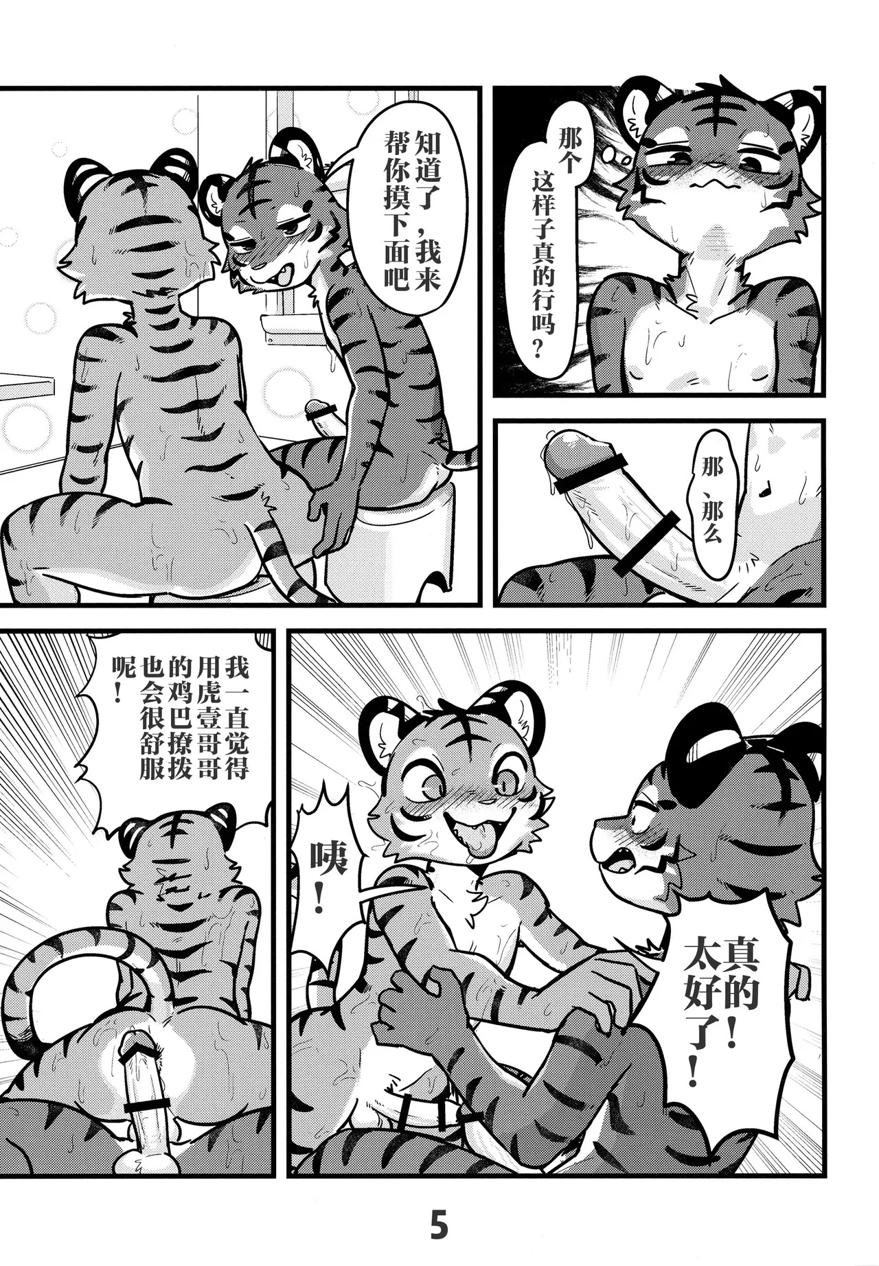  page 5 full