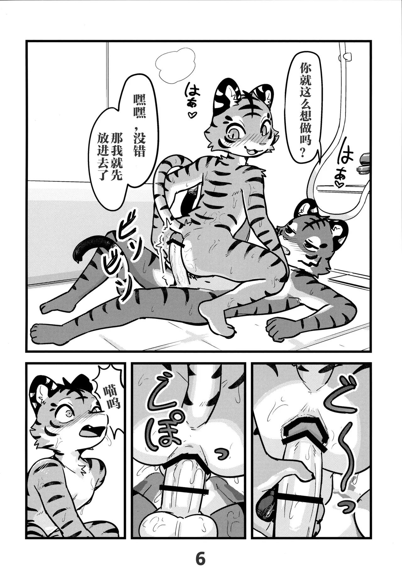  page 6 full