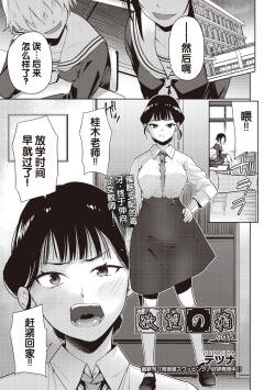 Yokubou no Hako 4 Wa