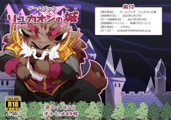 琉卡昂的城堡 cover