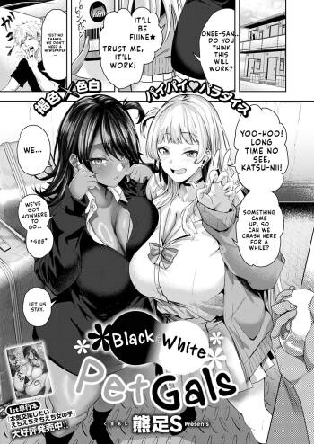 Kuroshiro Pet Gal | Black and White Pet Gals cover