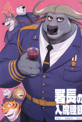 局长的住院骚动 cover