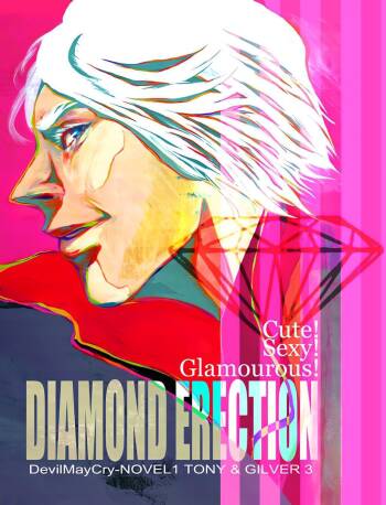 DIAMOND ERECTION cover
