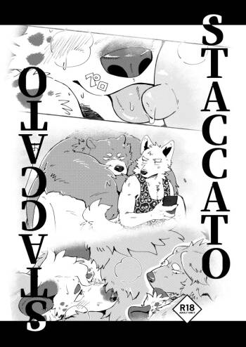 STACCATO | 斷奏 cover