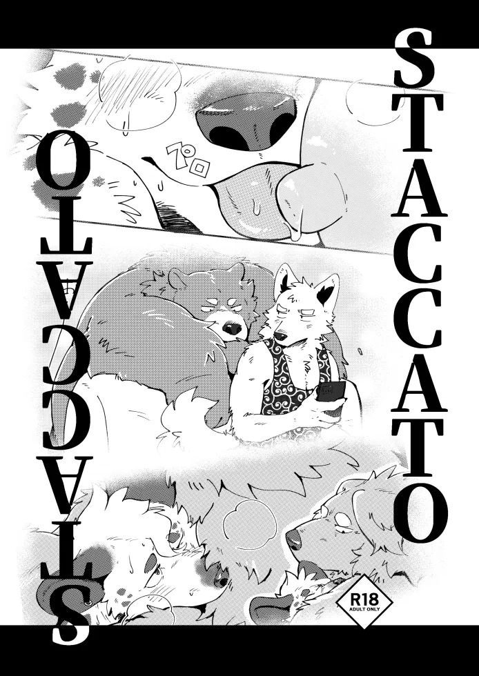 STACCATO | 斷奏 page 1 full