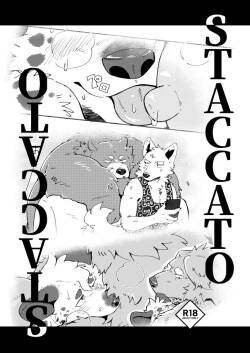 STACCATO | 斷奏
