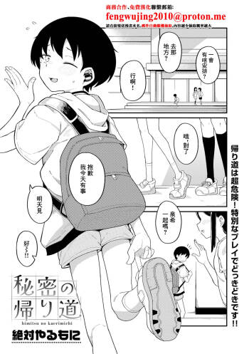 秘密の帰り道 cover