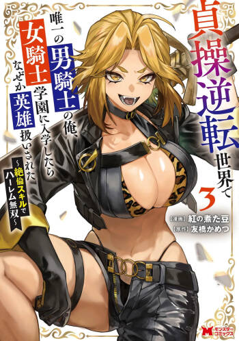 Teisou Gyakuten Sekai de Yuiitsu no Otoko Kishi no Ore, Onna Kishi Gakuen ni Nyuugaku Shitara Nazeka Eiyou Atsukai Sareta ~Zetsurin Skill de Harem Musou~ Vol.3 cover