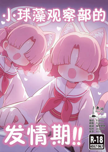 小球藻观察部的发情期!! cover
