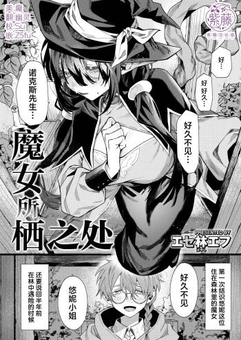 魔女の棲む家 cover