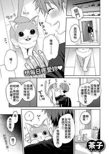Hatsujou Nyanko wa Goshujin-sama ni Amaetai | 發情的小貓咪想跟主人撒嬌 cover