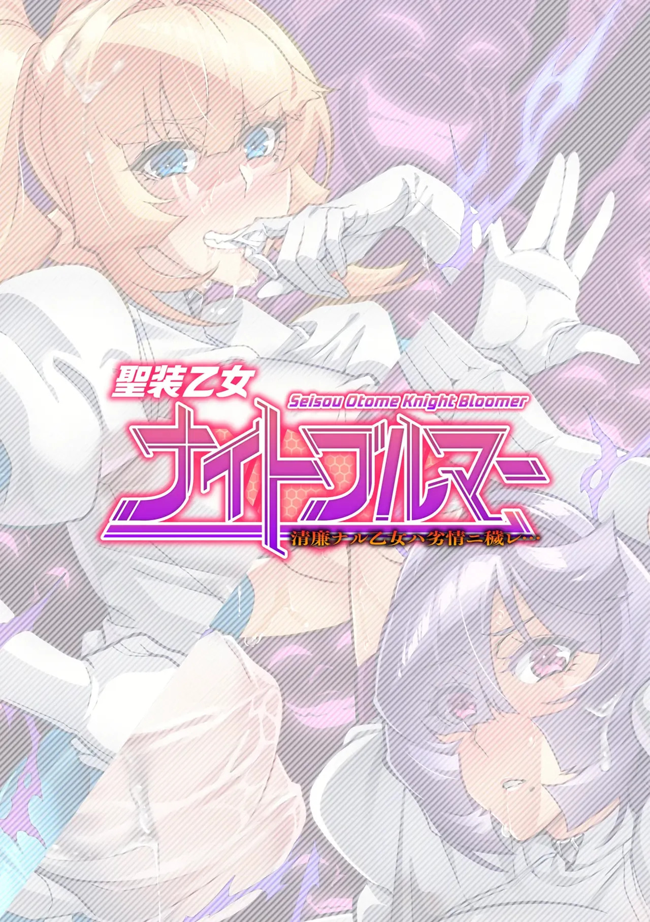 Seisou Otome Knight Bloomer Seiren Naru Otome wa Retsujou ni Kegare… page 2 full