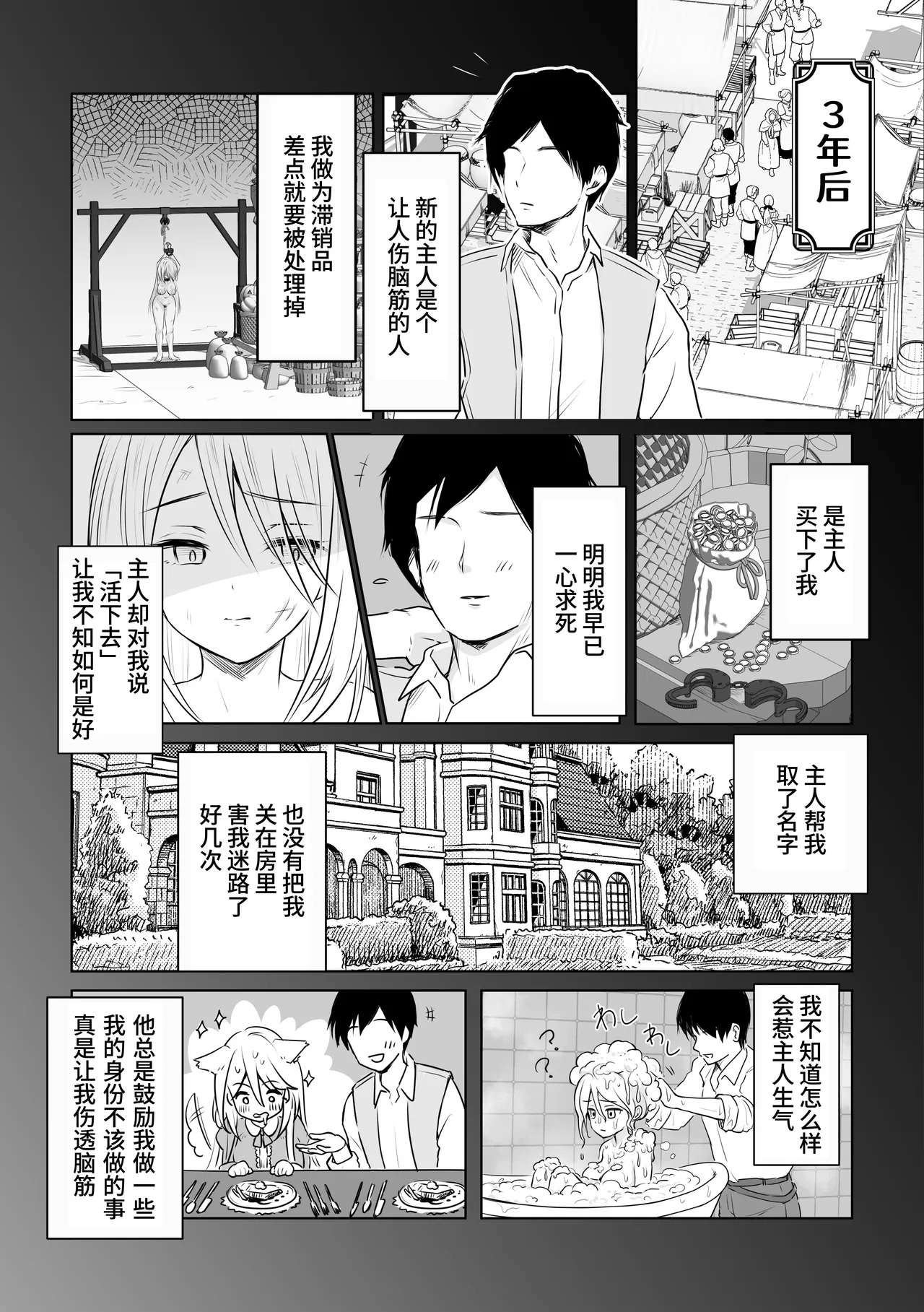 【简体中文版】不要给予二手奴〇自由 page 10 full
