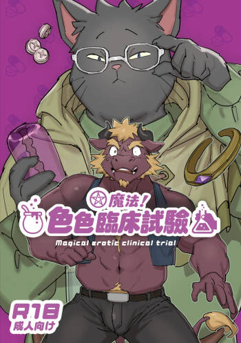 魔法！色色臨床試驗 | Magical Erotic Clinical Trial cover