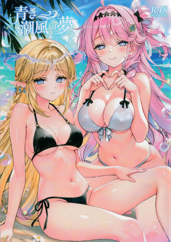 Aoki Shiokaze no Yume cover